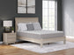 Ashley Express - Terra Sleep Medium  Mattress